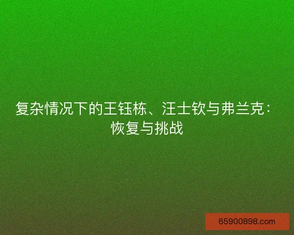 复杂情况下的王钰栋、汪士钦与弗兰克：恢复与挑战