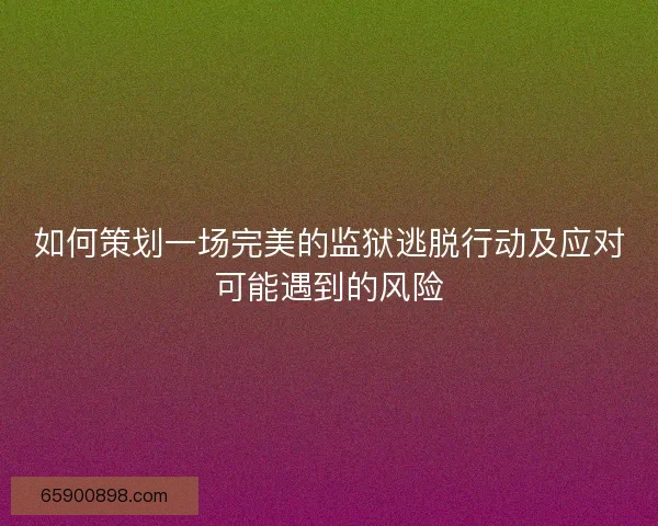 如何策划一场完美的监狱逃脱行动及应对可能遇到的风险