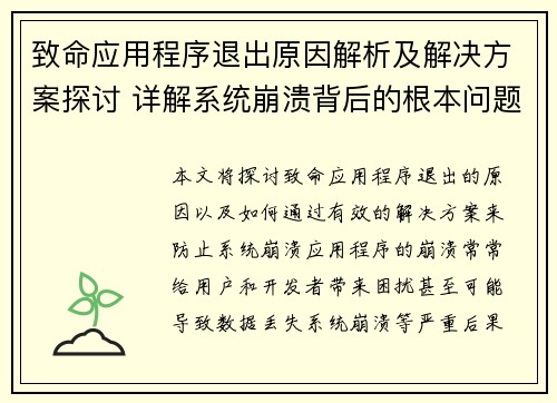 致命应用程序退出原因解析及解决方案探讨 详解系统崩溃背后的根本问题